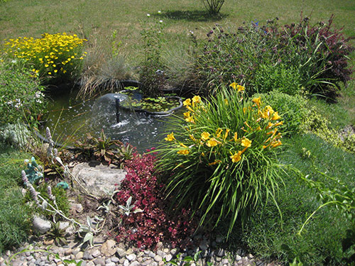 Backyard Pond